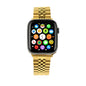 Watch 10 with 5 breed fancy ROLX chain straps | 45mm | Black - TikTec